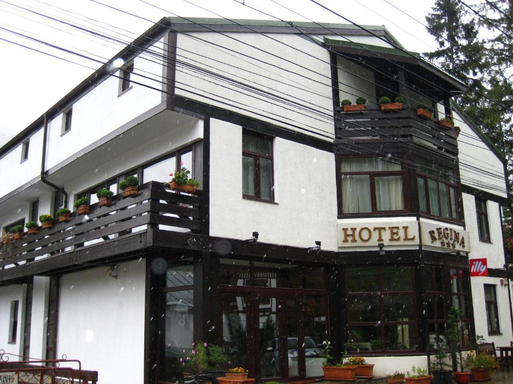Hotel Regina Sinaia Bagian luar foto